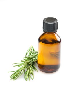 rosemary goat milk lotion