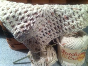 handmade discloth www.anniesgoathill.com